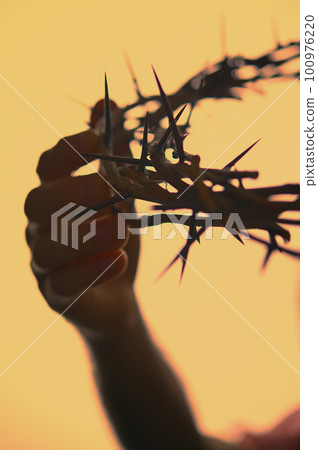 Hand holding crown of thorns 100976220