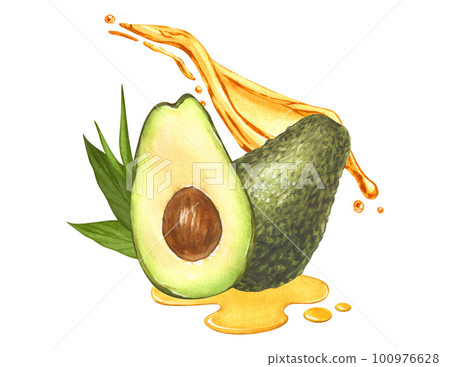 Watercolor ripe avocado, oil splash from avocado fruit. Hand-drawn illustration isolated on white background. Perfect concept food menu, food drawing, design packing, healthy eating 100976628