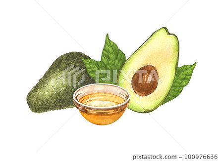 Watercolor ripe avocado, oil avocado and halves avocado. Hand-drawn illustration isolated on white background. Perfect concept food menu, food drawing, design packing, healthy eating 100976636