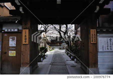 Sumizome Temple，一個隱藏的櫻花景點 100976774