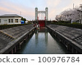 Misu lock gate and cherry blossoms 100976784