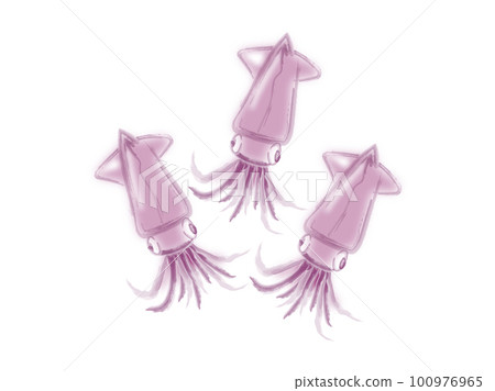 Firefly squid, a specialty of Toyama, with a watercolor taste Firefly squid, a specialty of Toyama, with a watercolor taste 100976965