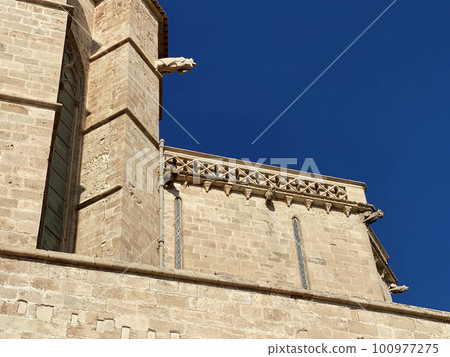 Views of Cathedral of Santa Maria of Palma 100977275