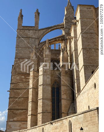 Views of Cathedral of Santa Maria of Palma 100977279