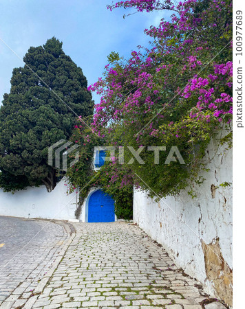 Sidi bou Said, Tunisia - January 6, 2022: Blue door in Sidi bou Said. High quality photo 100977689