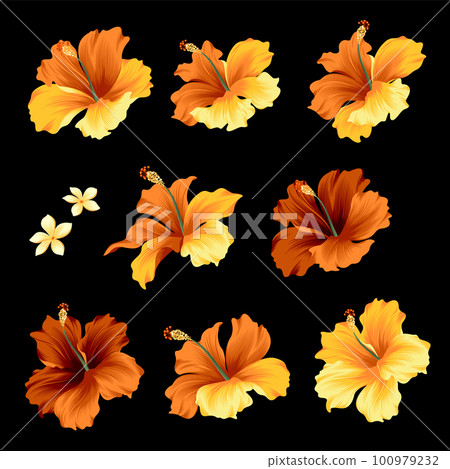 芙蓉花矢量夏威夷素材, 芙蓉花矢量夏威夷素材, 100979232