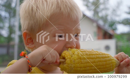 Little blond boy holds in his hands a large cob of boiled corn and eat it. Little blond boy holds in his hands a large cob of boiled corn and eat it. 100979299