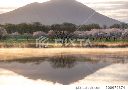 茨城縣築西市:木子島水庫的櫻花與筑波山的倒影 茨城縣築西市:木子島水庫的櫻花與筑波山的倒影 100979874