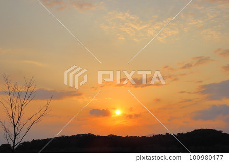 Sunset sky, clouds, sunset, trees, forests 100980477