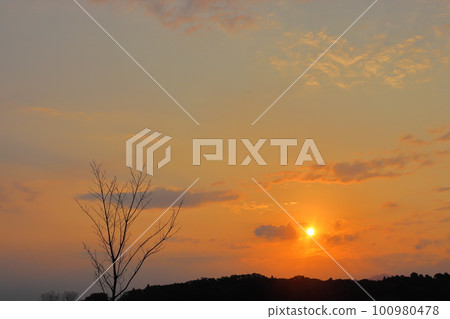Sunset sky, clouds, sunset, trees, forests 100980478