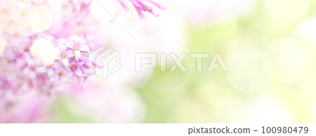 Wide spring blooming banner. Pink lilac tree flowers with bokeh lights on blur foliage background. 100980479