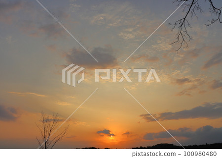 Sunset sky, clouds, sunset, trees, forests 100980480