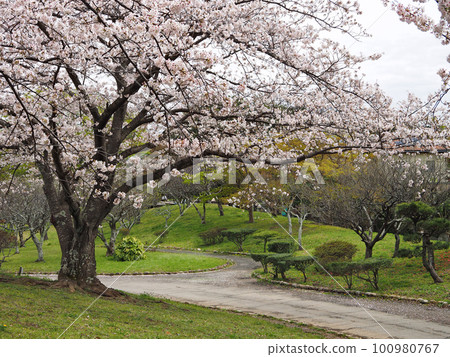 內部Minowa運動公園·日本花園（Kimitsu市） 100980767
