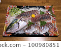 Sashimi platter 100980851