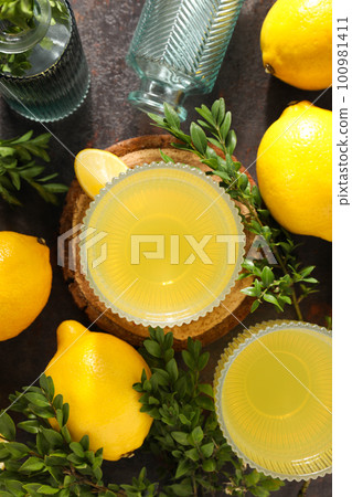 Concept of tasty drink, Limoncello, top view Concept of tasty drink, Limoncello, top view 100981411