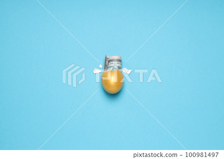 Golden egg, pension savings, investments and retirement 100981497