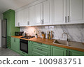 New green modern well designed kitchen interior 100983751