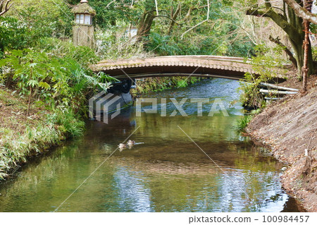 Yufuin floral village travel location in Oita Japan on morning Yufuin floral village travel location in Oita Japan on morning 100984457