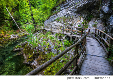 The Vintgar Gorge Landscape In Slovenia 100985563