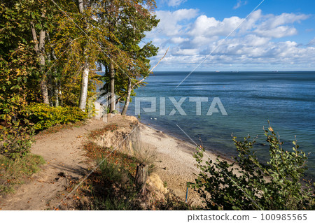 Baltic Sea Coast In Autumn 100985565