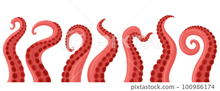 Cartoon octopus tentacles. Ocean squid palpus, twisted limbs with suckers flat vector background illustration Cartoon octopus tentacles. Ocean squid palpus, twisted limbs with suckers flat vector background illustration 100986174