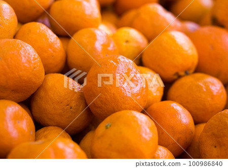 apetitic juicy farm mandarins at market counter apetitic juicy farm mandarins at market counter 100986840