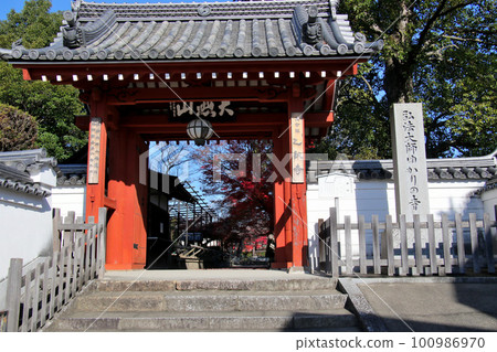 京都府長岡京市乙君寺門 100986970