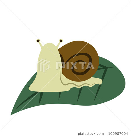 Flat vector illustration of a snail 100987004