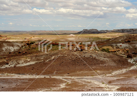 Desolate Landscape Petrified Forest Arizona Desolate Landscape Petrified Forest Arizona 100987121