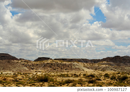 Desolate Landscape Petrified Forest Arizona 100987127