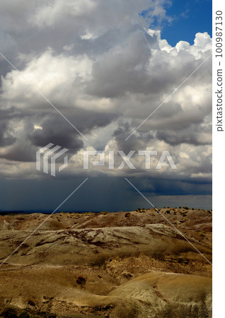 Desolate Landscape Petrified Forest Arizona 100987130