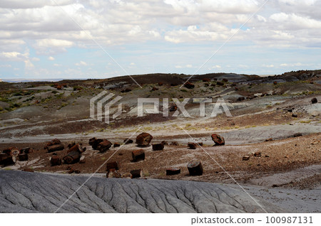 Desolate Landscape Petrified Forest Arizona 100987131