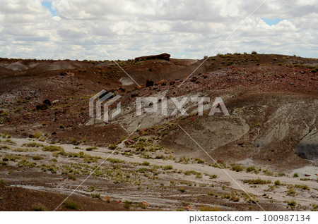Desolate Landscape Petrified Forest Arizona 100987134