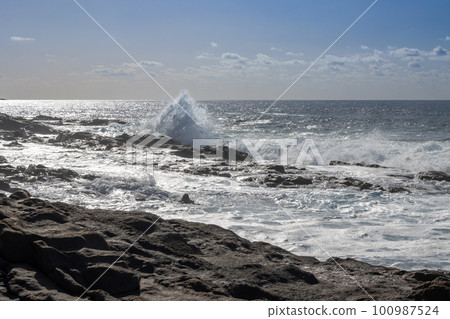 Atlantic ocean beach, Fuerteventura 100987524