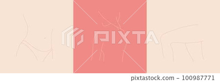 Vector set of woman body parts in line style Vector set of woman body parts in line style 100987771