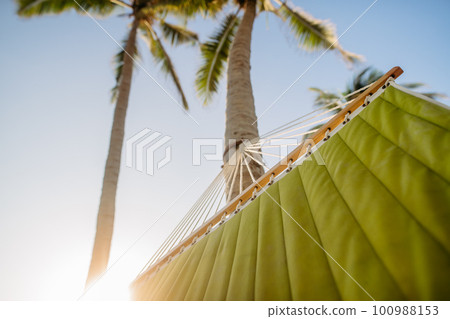 Close up of hammock hanging on the palms. 100988153