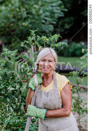 Senior woman farmer having break during digging her vegetables garden. 100988245