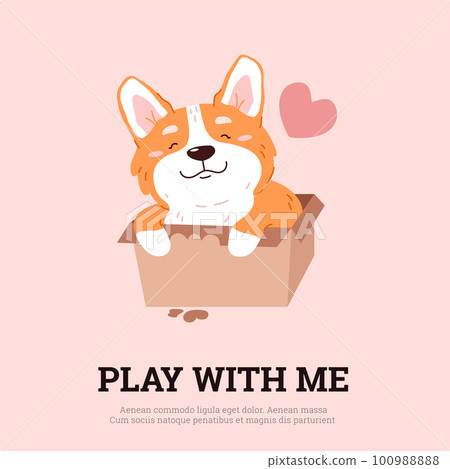 Squared banner or postcard with cute corgi dog sitting in cardboard box flat style 100988888