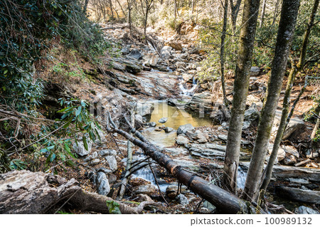 Yellowstone Prong creek 100989132