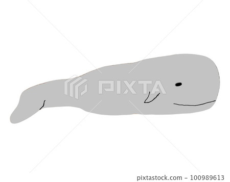 whale 100989613