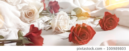 Web banner of red and white roses on white sheets with copy space. Closeup of beautiful flowers. Festive backdrop with space for text. Birthday, Valentines day, international females day concept 100989803