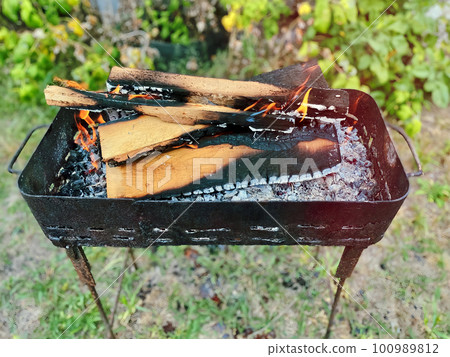 Burning wood in the grill. Small folding portable brazier filled with coals for cooking meat, fish, barbecue. Cooking on outdoor grill. Spring or summer outdoor recreation, picnic in the forest 100989812