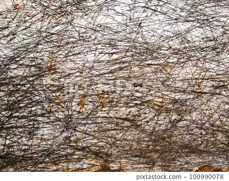 The texture of the spider web is black from smoke soot. 100990078