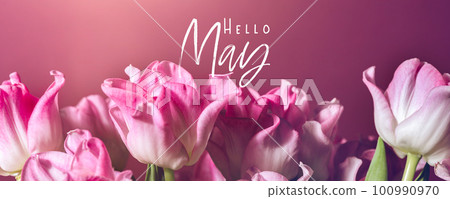Bunch of Parrot Style Tulips Bunch of Parrot Style Tulips 100990970
