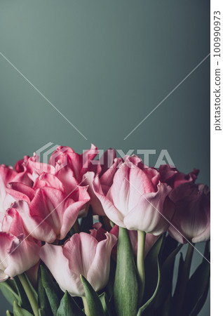 Bunch of Parrot Style Tulips 100990973