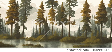 A beautiful mysterious pine forest with large trees and excellent vegetation A beautiful mysterious pine forest with large trees and excellent vegetation 100991616