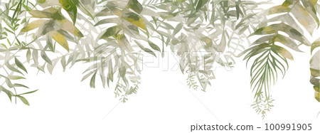 Eucalyptus branches, seeds and leaves. Hand drawn eucalyptus bouquet isolated on white background. Floral illustration Eucalyptus branches, seeds and leaves. Hand drawn eucalyptus bouquet isolated on white background. Floral illustration 100991905