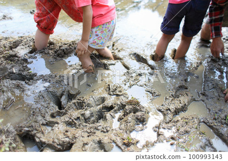 Child's dirty feet in rural farming experience Child's dirty feet in rural farming experience 100993143