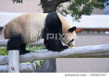 吉濱找零食 吉濱找零食 100993347