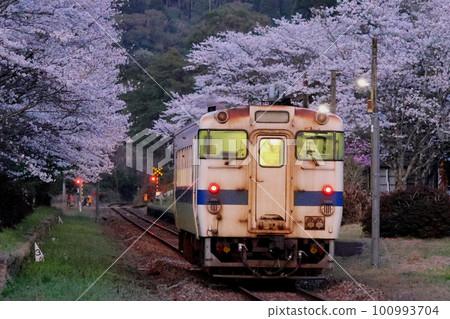 Cherry blossoms in full bloom JR Hisatsu Line Kareigawa Station Cherry blossoms in full bloom JR Hisatsu Line Kareigawa Station 100993704